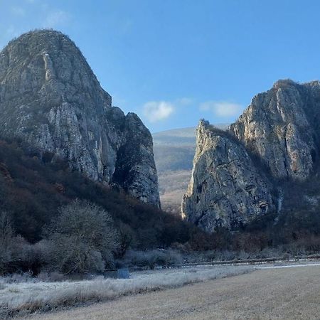 Golemi Kamik Pirot Vlasi Exterior photo