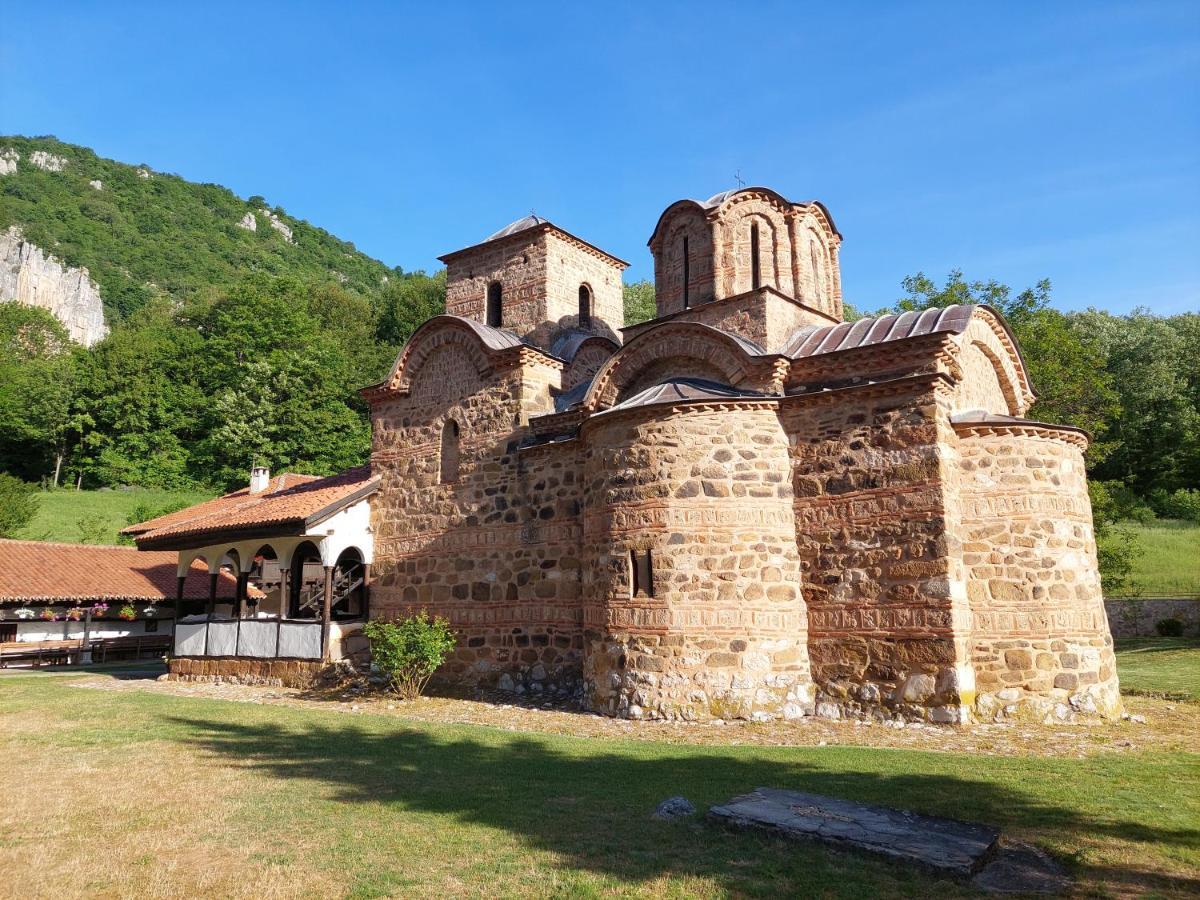 Golemi Kamik Pirot Vlasi Exterior photo